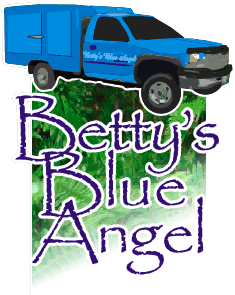 Betty's Blue Angel